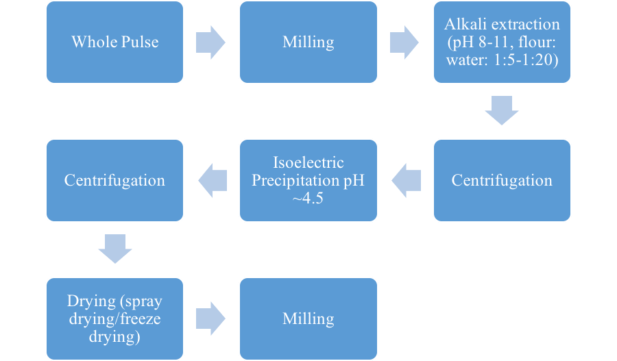 Diagram of the alkaline extraction and isoelectric precipitation process: Whole pulse, to milling, to Alkali extraction (pH 8 to 11, flour:water ratio of 1:5 to 1:20), to centrifugation, isoelectric precipitation (pH approximately 4.5), to centrifugation, then drying (spray drying or freeze drying), then finally milling