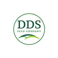 DDS Seed 125 web.jpg