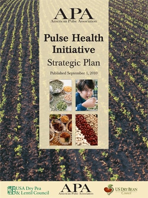 Pulse Health Initiative - Strategic Plan cover