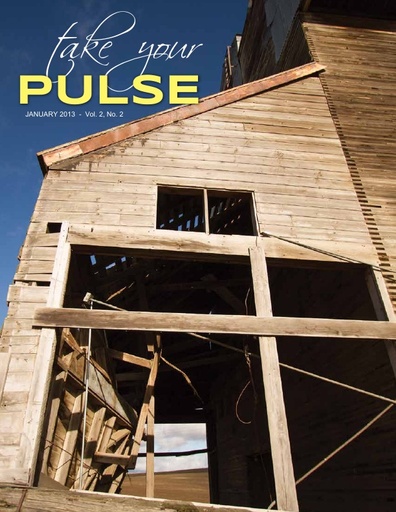 Take Your Pulse - Vol 2 No 2 - January 2013