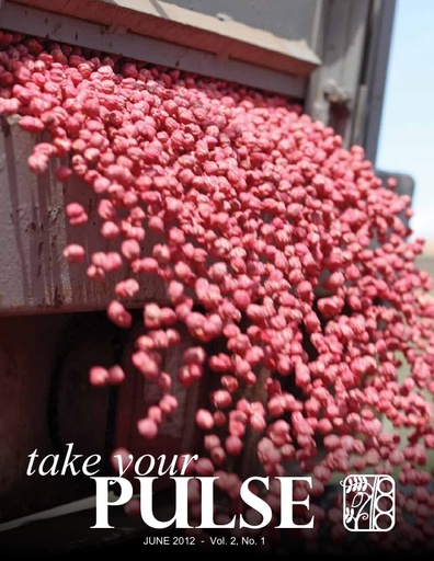 Take Your Pulse - Vol 2 No 1 - June 2012