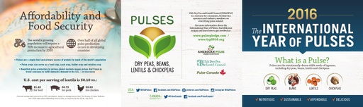 International Year of Pulses Infographic