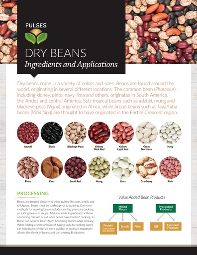 Pulses - Dry Beans
