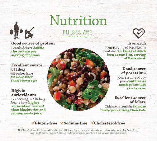 Pulses Are Nutrutious infographic